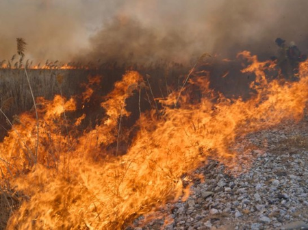 Wildfires intensify in Colombia amid El Nino conditions Wildfires intensify in Colombia amid El Nino conditions