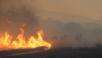 Wildfire in western US’ Nevada destroys dozens of homes, injures 7 Wildfire in western US’ Nevada destroys dozens of homes, injures 7