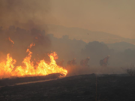 Wildfire in western US’ Nevada destroys dozens of homes, injures 7 Wildfire in western US’ Nevada destroys dozens of homes, injures 7