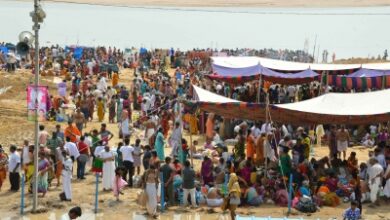Andhra: 10 crore devotees expected at Godavari Pushkaram next year
