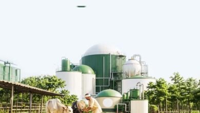 Gujarat to set up 20,000 new biogas plants under GOBARDhan scheme