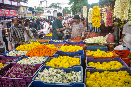 Women farmers in Kerala reap Rs 10 crore Onam bonanza Women farmers in Kerala reap Rs 10 crore Onam bonanza