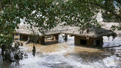 Gujarat issues helpline numbers for citizens affected by Nepal flash floods