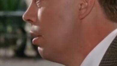 Marisa Tomei pays tribute to Tim Curry: What a life, what a talent Marisa Tomei pays tribute to Tim Curry: What a life, what a talent