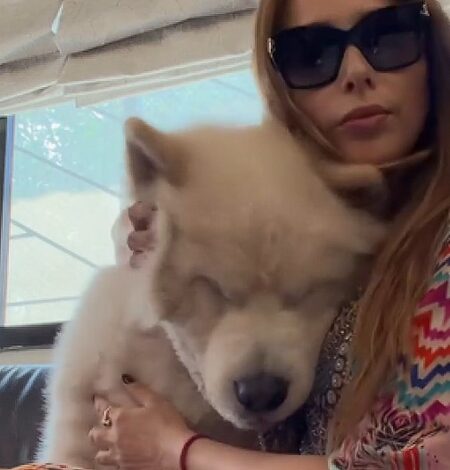Iulia Vantur shares video playing with Salman Khan’s pet Sukh, calls it ‘the cutest love’ Iulia Vantur shares video playing with Salman Khan’s pet Sukh, calls it ‘the cutest love’