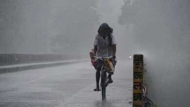Fresh low pressure area in Bay of Bengal to bring heavy rain in south Bengal Fresh low pressure area in Bay of Bengal to bring heavy rain in south Bengal