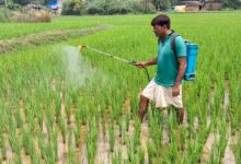 India’s ‘Per Drop More Crop’ scheme brings 115 lakh hectares under micro‑irrigation, boosts income