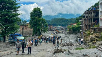 Nepal tragedy: Reports emphasise need for close regional cooperation against future devastation