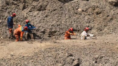 24-hour hotlines established for missing foreign nationals in Tibet 24-hour hotlines established for missing foreign nationals in Tibet