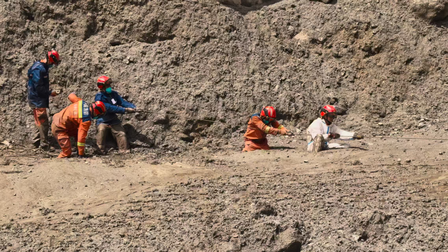 24-hour hotlines established for missing foreign nationals in Tibet 24-hour hotlines established for missing foreign nationals in Tibet