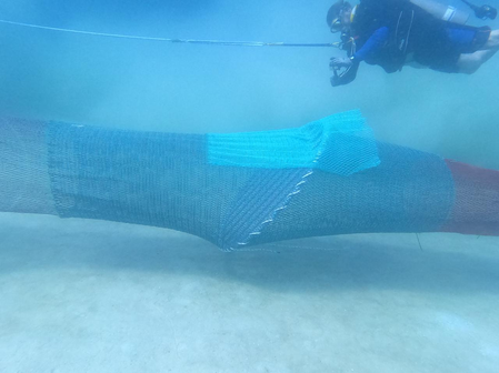 Gujarat to install over 8,900 devices in fishing nets to protect sea turtles, support shrimp exports Gujarat to install over 8,900 devices in fishing nets to protect sea turtles, support shrimp exports