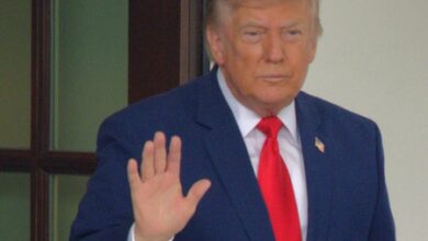 US senators oppose ICE electric-shock gloves