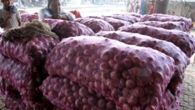 TN govt plans to sell onions at subsidised rates through ration shops