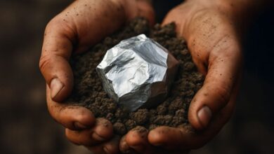 India, Uzbekistan elevate ties to comprehensive strategic partnership, deepen critical minerals cooperation India, Uzbekistan elevate ties to comprehensive strategic partnership, deepen critical minerals cooperation