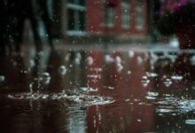 Nainital schools, Anganwadi centres to remain closed today amid orange rain alert Nainital schools, Anganwadi centres to remain closed today amid orange rain alert
