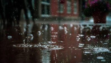 Nainital schools, Anganwadi centres to remain closed today amid orange rain alert Nainital schools, Anganwadi centres to remain closed today amid orange rain alert