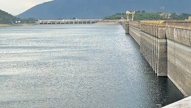 TN: Nagapattinam farmers seek delay in Mettur water release, fear irrigation gap