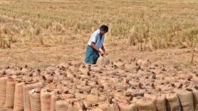 TN records all-time high paddy procurement of 64.2 lakh tonnes TN records all-time high paddy procurement of 64.2 lakh tonnes