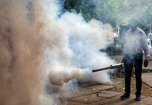 Bengal health department identifies five districts as most dengue-prone Bengal health department identifies five districts as most dengue-prone