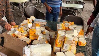 Zomato bans selling analogue dairy dishes following FSSAI scrutiny on restaurants