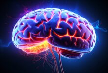 Brain-gut signals can predict antidepressant response within 7-10 days: Study