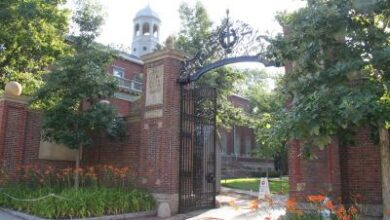 Harvard put China ties over US security, Republican-led probe alleges