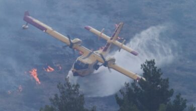 Scores injured in wildfire sweeping Croatian coast Scores injured in wildfire sweeping Croatian coast