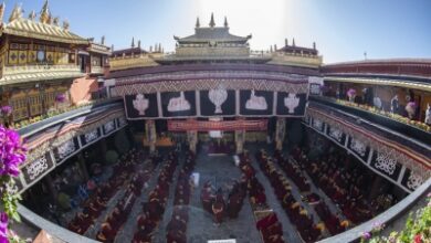 China using Buddhism as tool for political control: Report