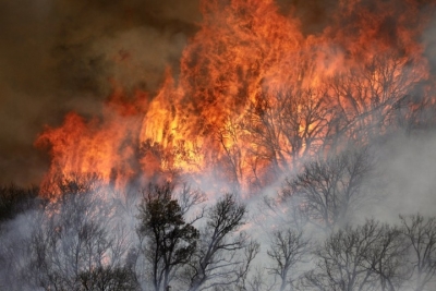 Two killed in helicopter crash fighting wildfire in US state of Utah Two killed in helicopter crash fighting wildfire in US state of Utah