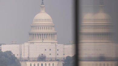 Democrats need new leaders: Congressman