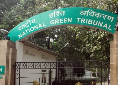 National Green Tribunal orders strict action over forest land encroachment by Jaipur Ropeway Project