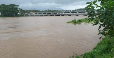 Rescue ops underway on war footing to save stranded animals in Kerala floods