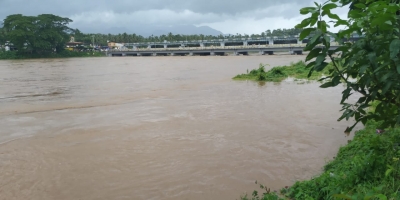Rescue ops underway on war footing to save stranded animals in Kerala floods