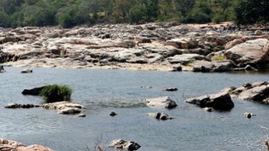 Cauvery row: SC permits Tamil Nadu to approach CWMA, posts plea for Aug 31