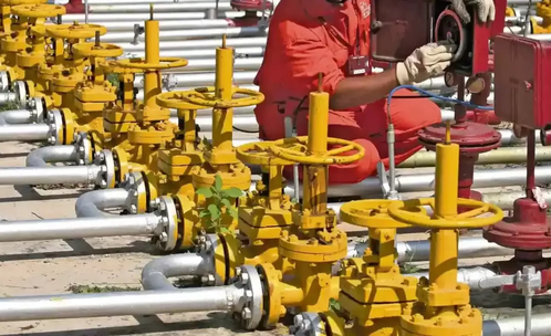 Centre asks states to help in speeding up switch from LPG to PNG by households