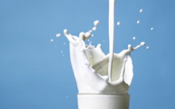 From milk to liquor, Kerala drinks in the Onam spirit From milk to liquor, Kerala drinks in the Onam spirit