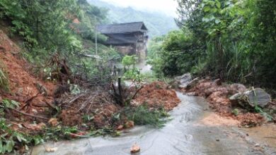 Mudslide, landslide leave 2 dead, 10 missing in China’s Jiangxi
