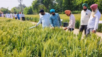 Over Rs 2.9 crore to be disbursed to 2,550 farmers as soil carbon payments: Govt