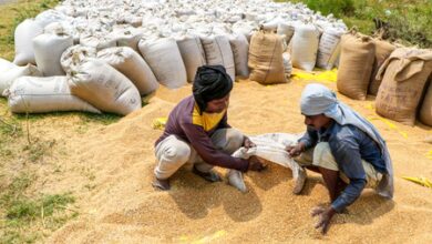 Foodgrain production estimated at 376.5 million tonnes amid robust decentralised grain storage infra