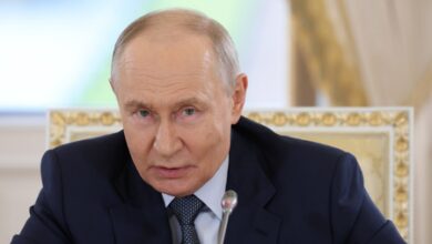 Putin orders three-day halt to strikes on Kyiv for US envoys’ visit