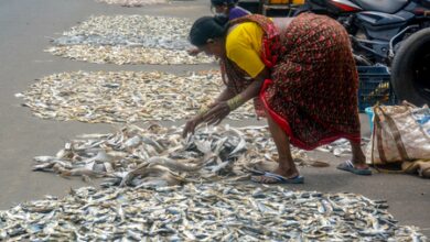 How PM-MKSSY is insuring India’s Blue Economy