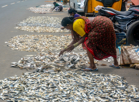 How PM-MKSSY is insuring India’s Blue Economy