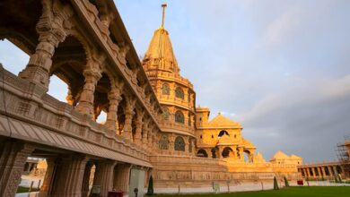 Ram temple donation row: UP SIT to file charge sheet within 2 days, identifies 105 incidents