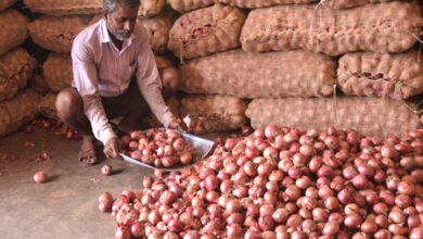 India’s retail inflation edges up to 4.82 pc in August