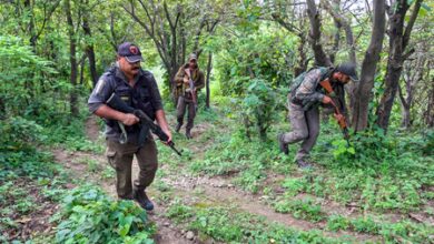 One terrorist killed in J&K’s Budgam district, searches underway One terrorist killed in J&K’s Budgam district, searches underway
