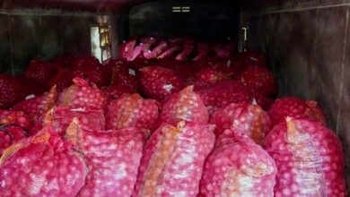 Onions from govt buffer stock to reach Kolkata ahead of festive season Onions from govt buffer stock to reach Kolkata ahead of festive season