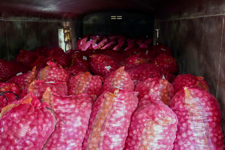 Onions from govt buffer stock to reach Kolkata ahead of festive season Onions from govt buffer stock to reach Kolkata ahead of festive season