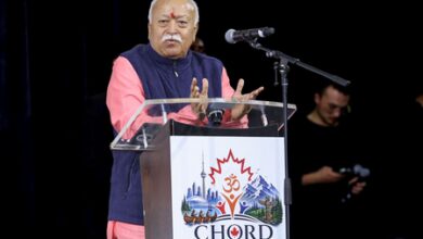 US scholar warns against isolating RSS