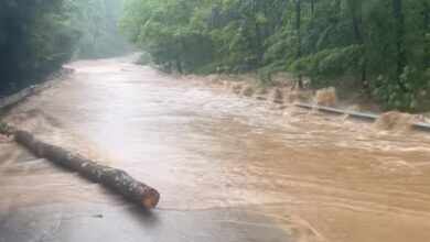At least two dead after flash flood in US Grand Canyon At least two dead after flash flood in US Grand Canyon