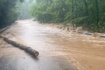 At least two dead after flash flood in US Grand Canyon